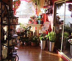 A look inside our Yerington flower shop, Twigs.