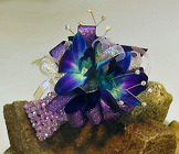 /images/P2180014_edited-1lg.jpg Purple Infusion