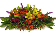 /images/PA250016lg.jpg Garden Harvest