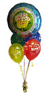 Singing Mylar Balloon Bouquet