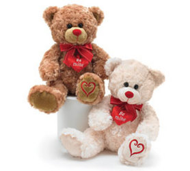 Cuddly Valentine Bears from Twigs Flowers and Gifs in Yerington, NV
