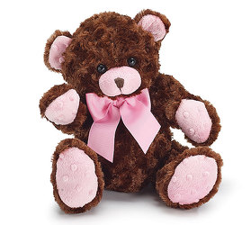Chocolate-Cherry Bear from Twigs Flowers and Gifs in Yerington, NV
