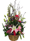 Hummingbird Garden