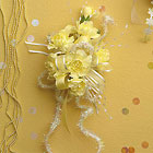 Classic Carnations