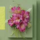 Alstromeria Corsage