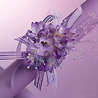 /images/jhprom/PHF12-11lg.jpg Magic Lights corsage