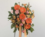 /images/jhsympathy/SF087-11lg.jpg Orange Gerber Easel Spray