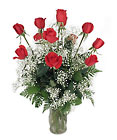 Classic  Roses