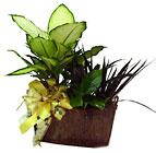 Planter basket