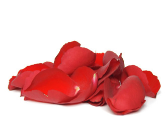 Rose Petals from Twigs Flowers and Gifs in Yerington, NV