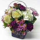 Lovely Lavender 