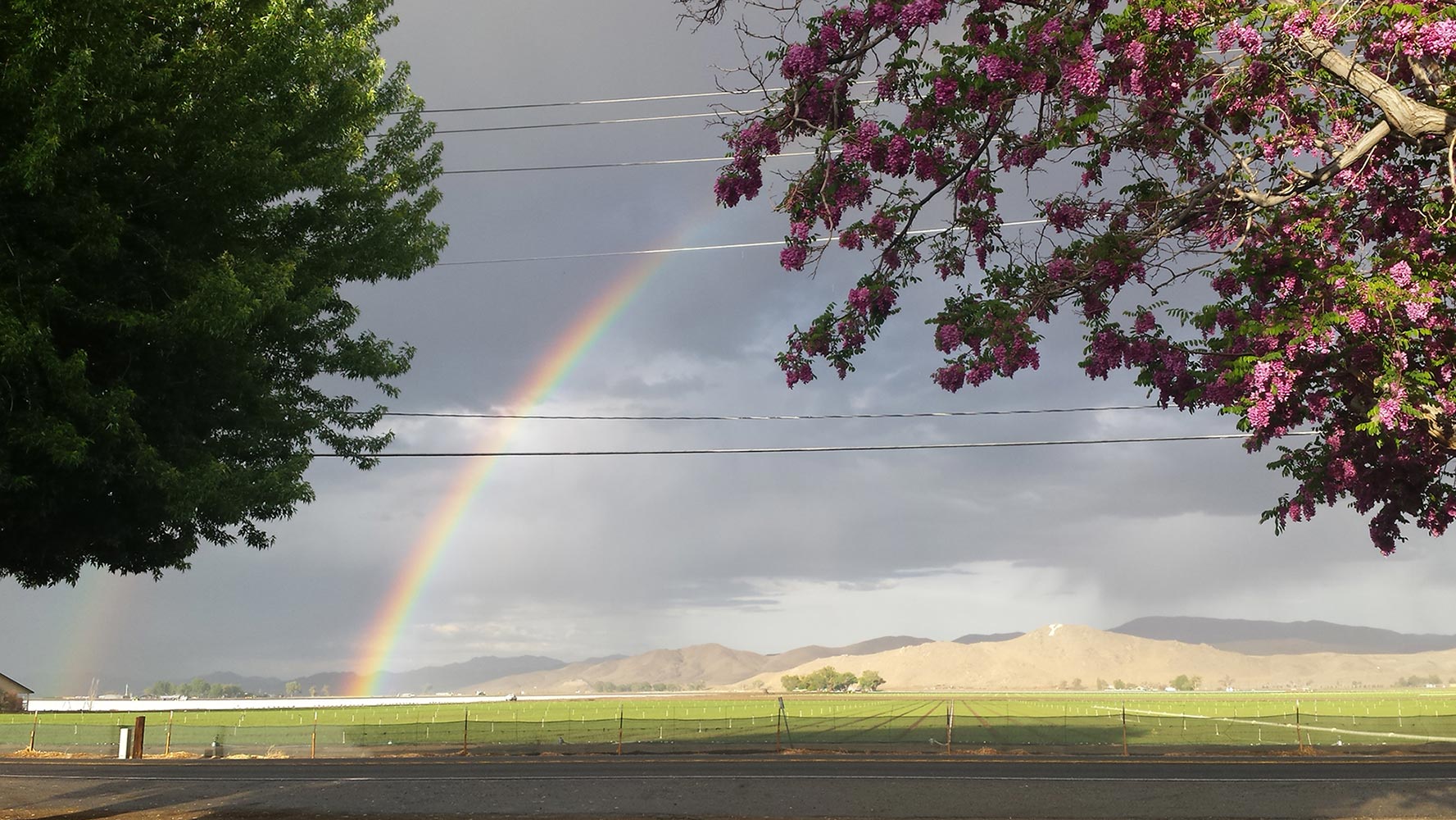 Yearington, NV area florist