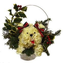 Christmas Puppy from Twigs Flowers and Gifs in Yerington, NV