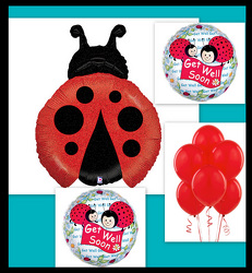 Ladybug Love from Twigs Flowers and Gifs in Yerington, NV