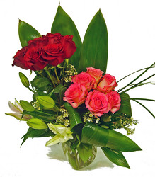 Double Delight from Twigs Flowers and Gifs in Yerington, NV