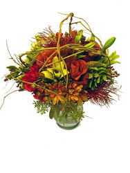 Nature's Nest from Twigs Flowers and Gifs in Yerington, NV