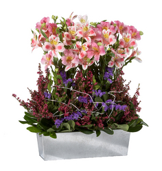 Window box Romance from Twigs Flowers and Gifs in Yerington, NV
