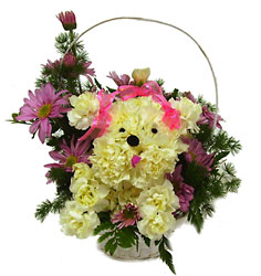 Carnation Puppy from Twigs Flowers and Gifs in Yerington, NV