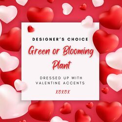 Valentine Green or Blooming Plant from Twigs Flowers and Gifs in Yerington, NV