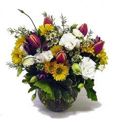 Summer Song from Twigs Flowers and Gifs in Yerington, NV