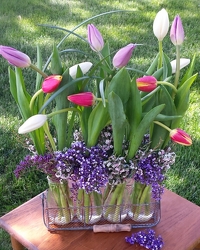 Dancing Tulips from Twigs Flowers and Gifs in Yerington, NV