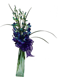Elegant Orchids-Blue from Twigs Flowers and Gifs in Yerington, NV