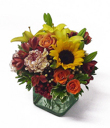 Fall Cube from Twigs Flowers and Gifs in Yerington, NV