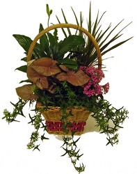 Garden Basket from Twigs Flowers and Gifs in Yerington, NV