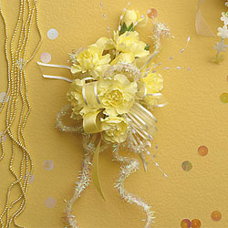Classic Carnations from Twigs Flowers and Gifs in Yerington, NV