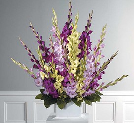 Gladiola Basket from Twigs Flowers and Gifs in Yerington, NV