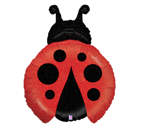 Ladybug  from Twigs Flowers and Gifs in Yerington, NV