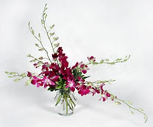 Orchids from Twigs Flowers and Gifs in Yerington, NV
