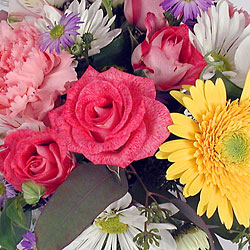 Designer's Choice from Twigs Flowers and Gifs in Yerington, NV