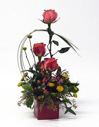 Cutie! from Twigs Flowers and Gifs in Yerington, NV