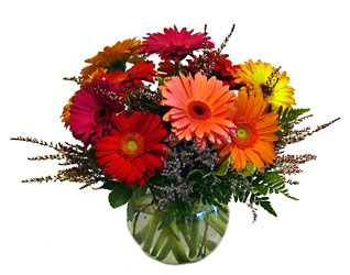 Gerbera Daisies from Twigs Flowers and Gifs in Yerington, NV